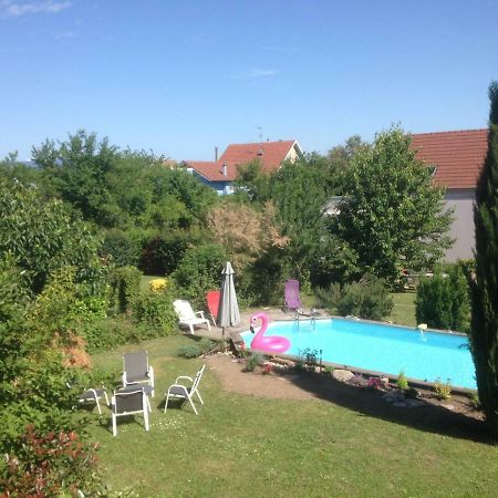 Gite Des 3 Cigognes Colmar Buitenkant foto